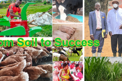 From-Soil-to-Success-Thumnail