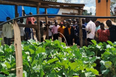 IMG_20250426_153732_963