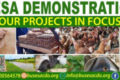 BCDO-Projects-in-Focus