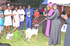 ????????????????????????????????????