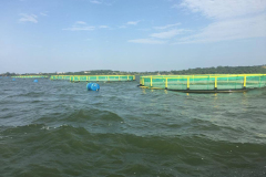 Buseesa-Community-Development-Organization-11-2