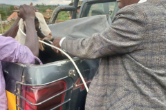 Buseesa-Demonstation-Farm-2024-RDC-Visit-OCtober-5