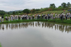 Buseesa-Demonstration-Farm-5