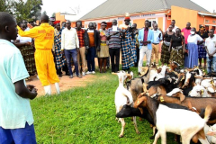 Buseesa-Demonstration-Farm-9-1
