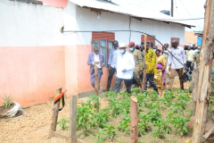 Buseesa-Demonstration-Farm-Kibaale-District-13
