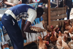 Buseesa-Demonstration-Farm-Skilling-th-youth-1