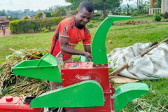 Buseesa-Demonstration-Farm-bcdo
