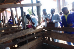 Busesa-Community-Development-Organization-BCDO-and-URDT-ARU-2