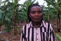 Busesa-Demo-Farm