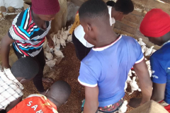 Empowering-Youths-with-Skills-for-social-economic-Transformation-1