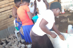 Empowering-Youths-with-Skills-for-social-economic-Transformation-4