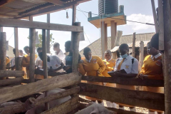 St-Mugagga-Secondary-School-Students-Visit-Buseesa-Demonstration-Farm-to-Enhance-Learning-1