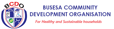 Busesa Community Development Organisation